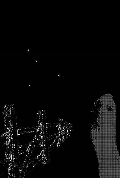 Постер до фільму "Fireflies Along the Fence"