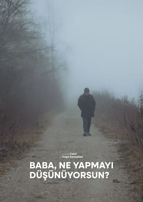 Постер до фільму "Baba, Ne Yapmayı Düşünüyorsun?"
