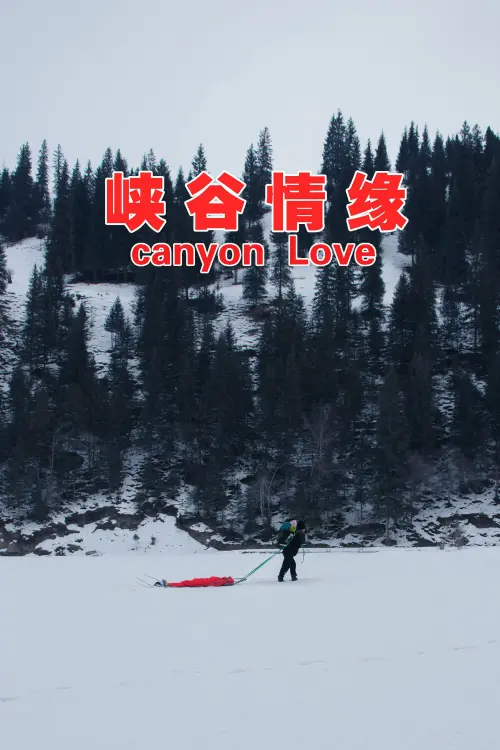 Постер до фільму "Canyon Affair"