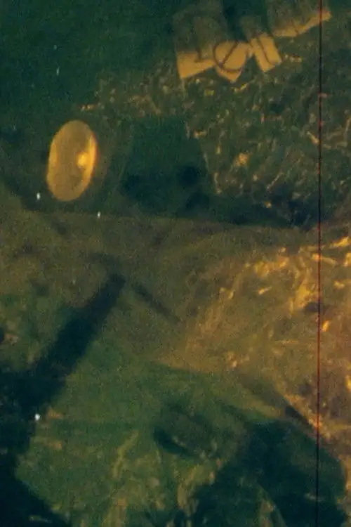 Постер до фільму "DETRITUS"