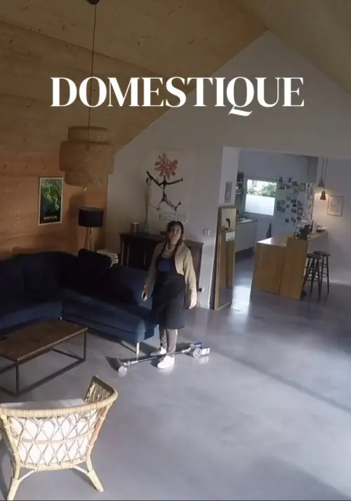 Постер до фільму "Domestique"