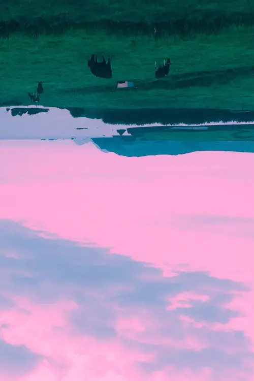 Постер до фільму "Still Beauty"