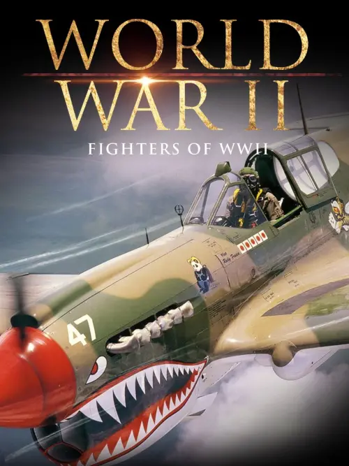 Постер до фільму "Fighters of WWII"