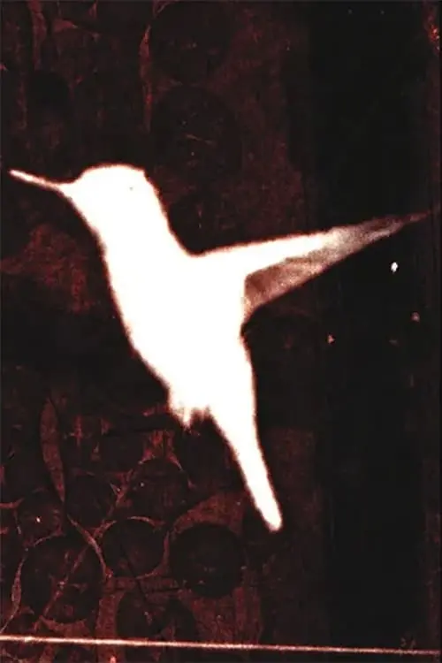 Постер до фільму "lessons on flight"