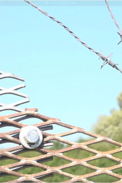 Постер до фільму "Between Borders"