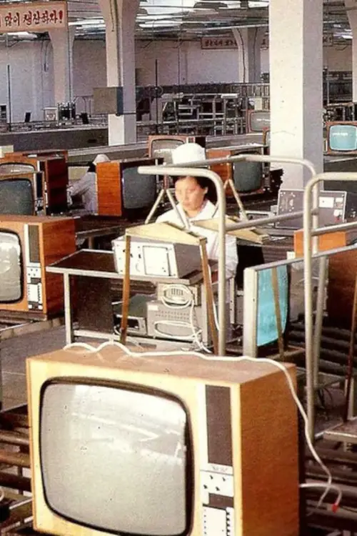 Постер до фільму "Nameless Grass"