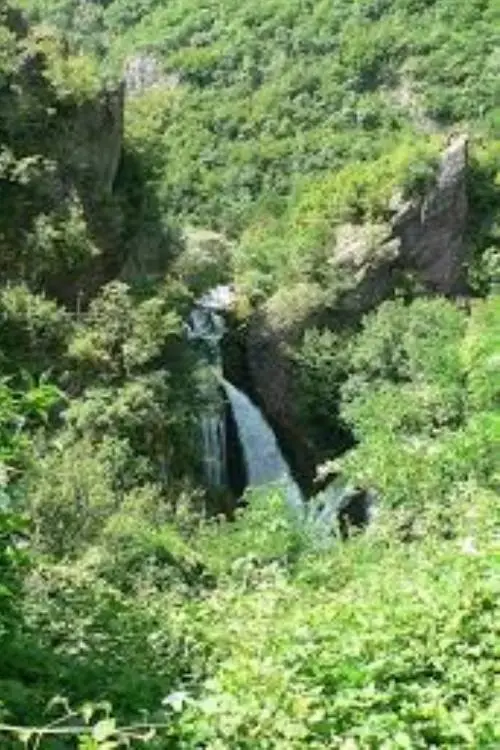 Постер до фільму "Sara Original"