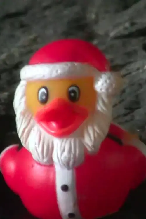 Постер до фільму "Duck Santa"