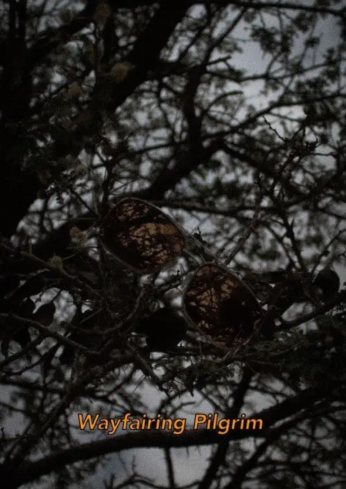 Постер до фільму "Wayfaring Pilgrim"