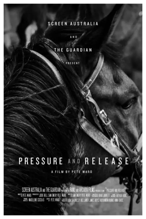 Постер до фільму "Pressure and Release"