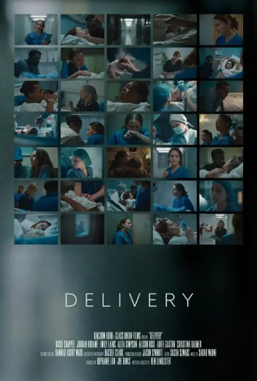 Постер до фільму "Delivery"