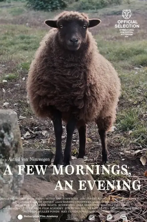 Постер до фільму "a Few Mornings, an Evening"