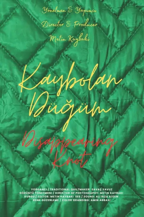 Постер до фільму "Disappearing Knot"