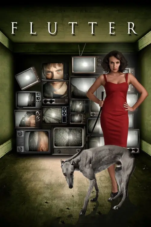 Постер до фільму "Flutter"