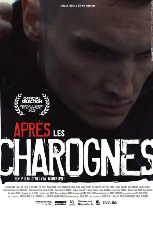 Постер до фільму "Après les charognes"
