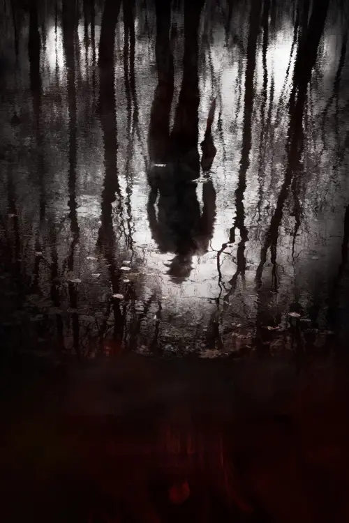 Постер до фільму "The Pool"