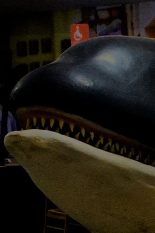 Постер до фільму "El llanto de Yubi"