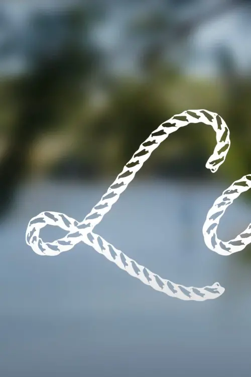 Постер до фільму "Laces"