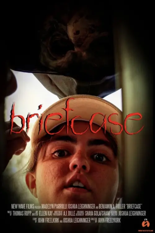 Постер до фільму "Briefcase"