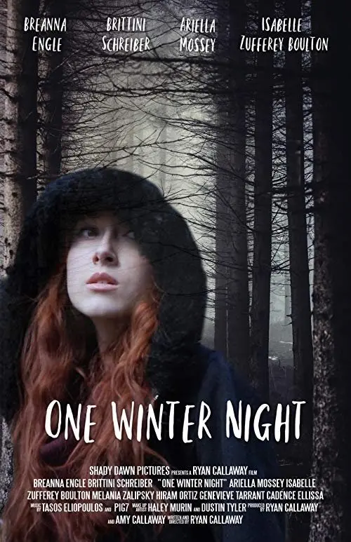Постер до фільму "One Winter Night"