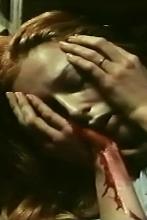Постер до фільму "The Broken Mirror"