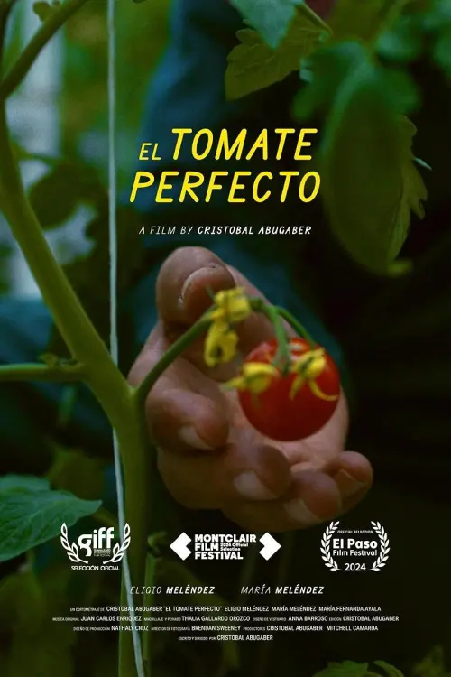 Постер до фільму "The Perfect Tomato"