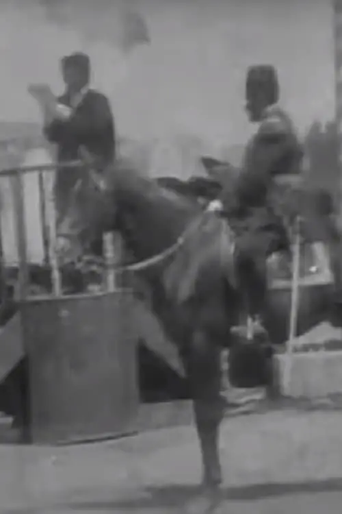 Постер до фільму "Turks