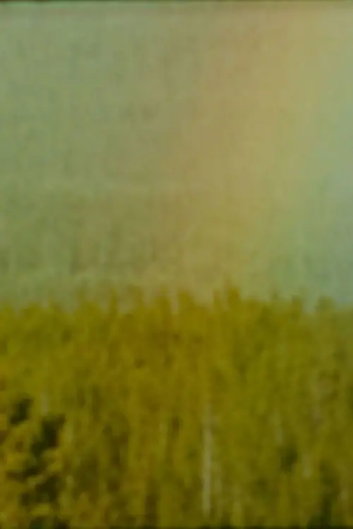 Постер до фільму "Bird"