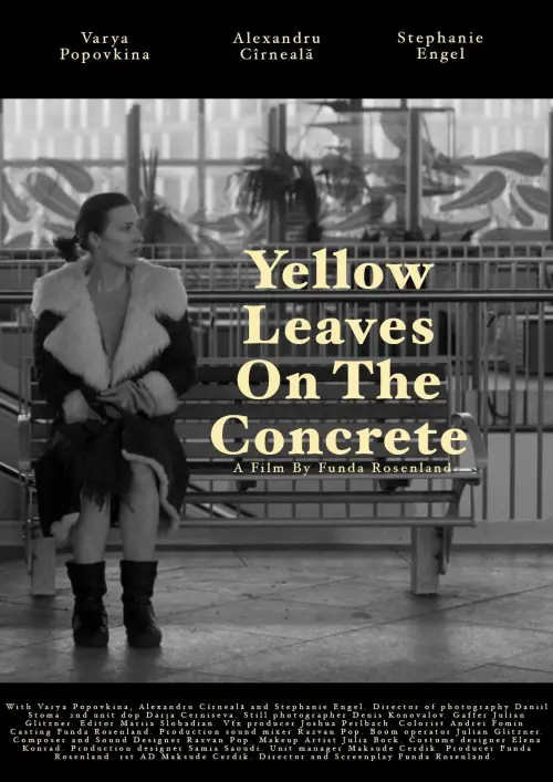 Постер до фільму "Yellow leaves on the concrete"