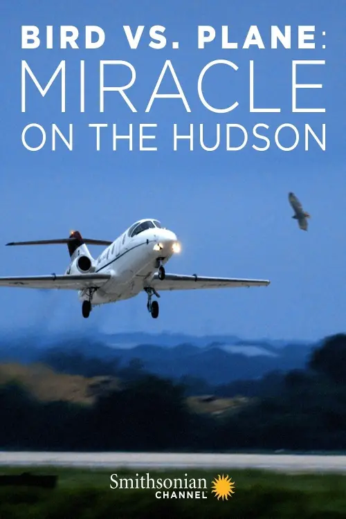 Постер до фільму "Bird vs. Plane: Miracle on the Hudson"