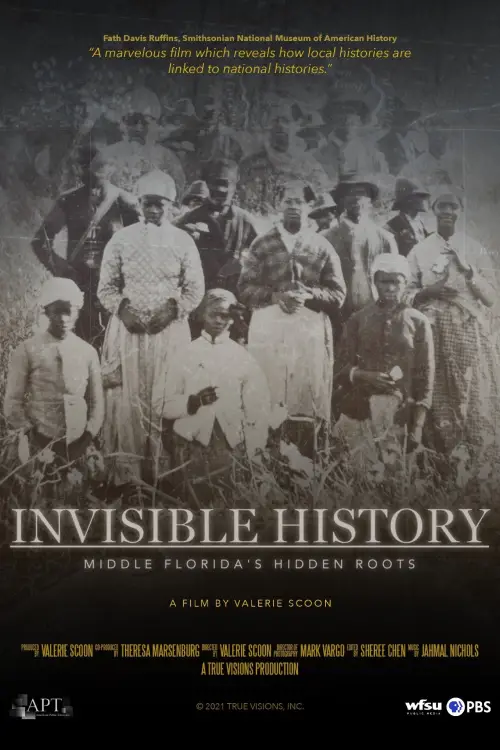 Постер до фільму "Invisible History: Middle Florida