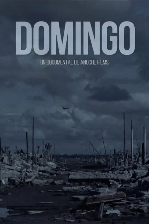 Постер до фільму "Domingo"
