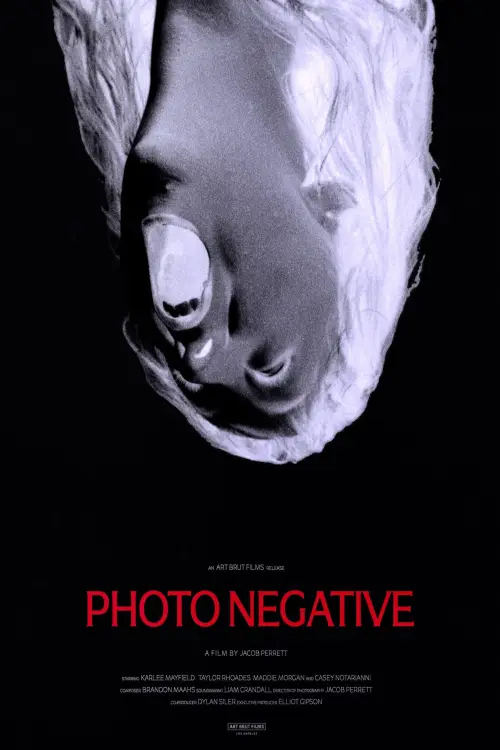 Постер до фільму "Photo Negative"