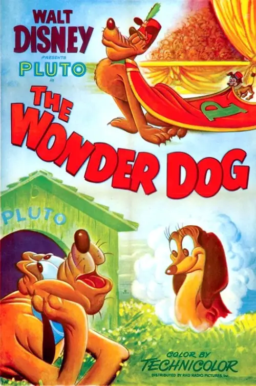 Постер до фільму "Wonder Dog"