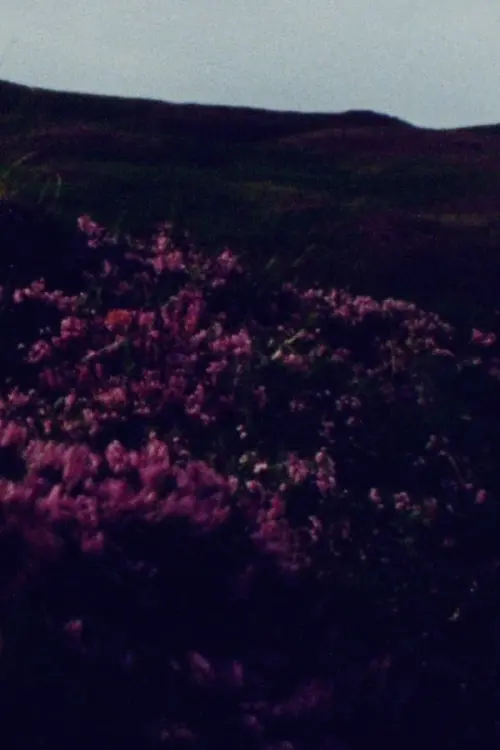 Постер до фільму "barrunto"