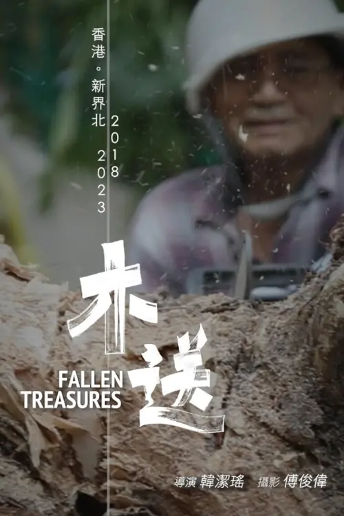 Постер до фільму "Fallen Treasures"