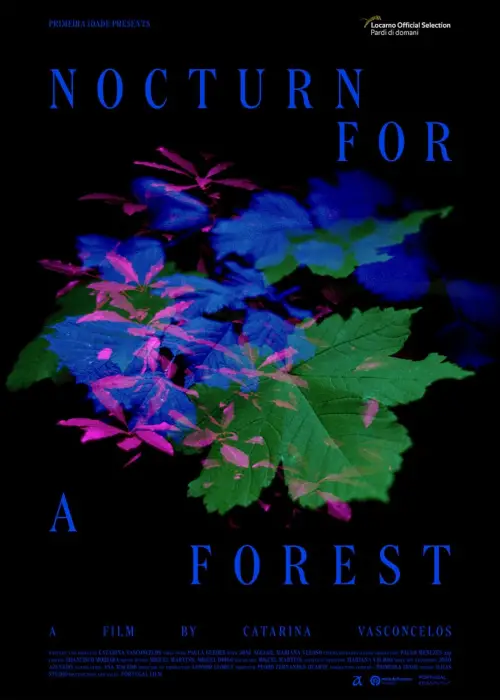 Постер до фільму "Nocturne for a Forest"