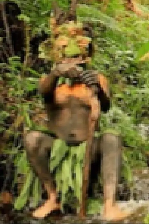 Постер до фільму "Un Dios del bosque"