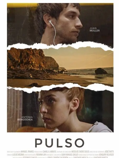 Постер до фільму "Pulse"