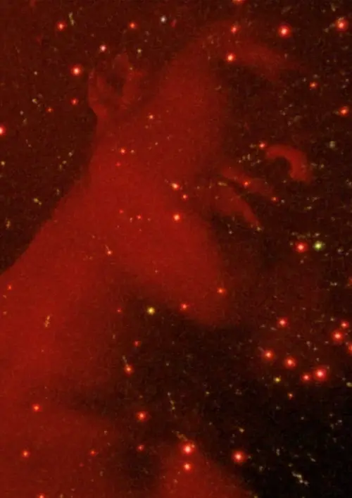 Постер до фільму "Mexico Will No Longer Exist!"