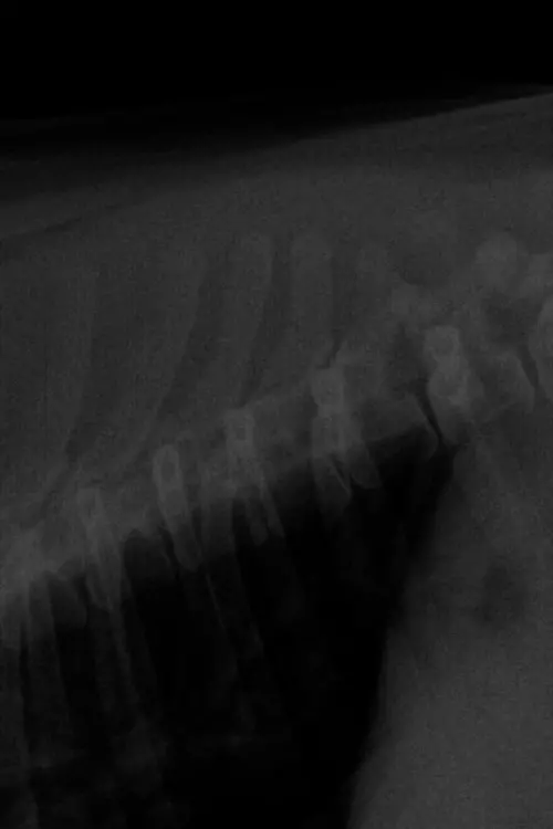 Постер до фільму "BUENOS TIEMPOS."