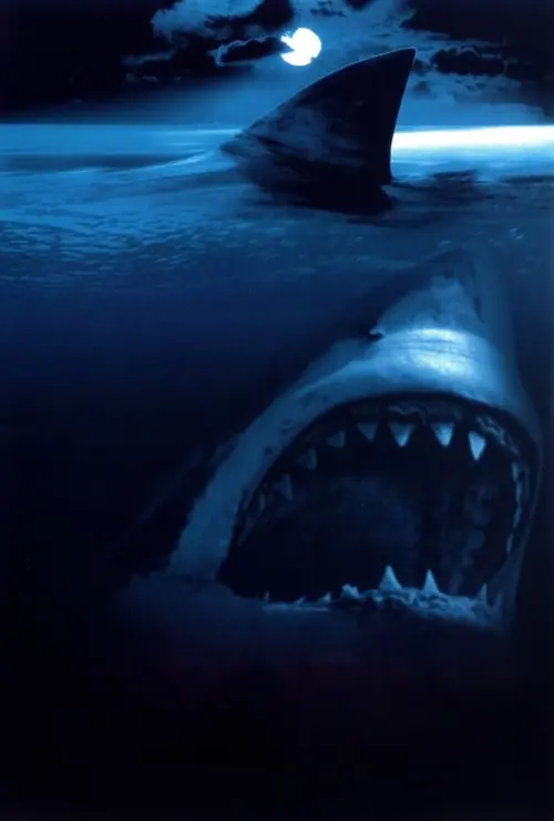 Постер до фільму "Shark Attack"