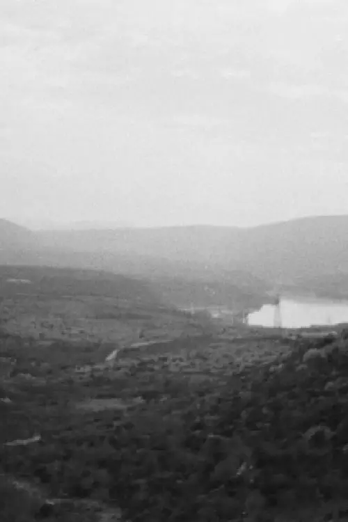 Постер до фільму "Interference"