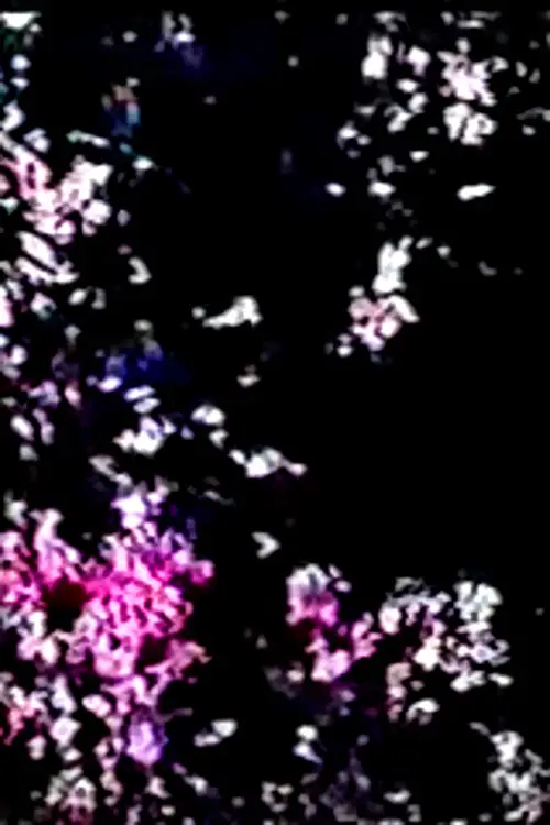 Постер до фільму "Tryst Haunt"