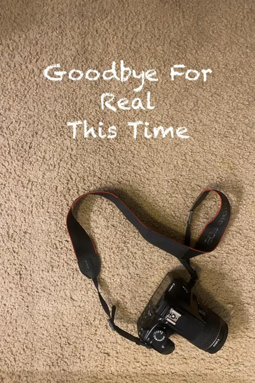 Постер до фільму "Goodbye For Real This Time"