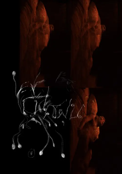 Постер до фільму "The Sound of Devouring Dust"