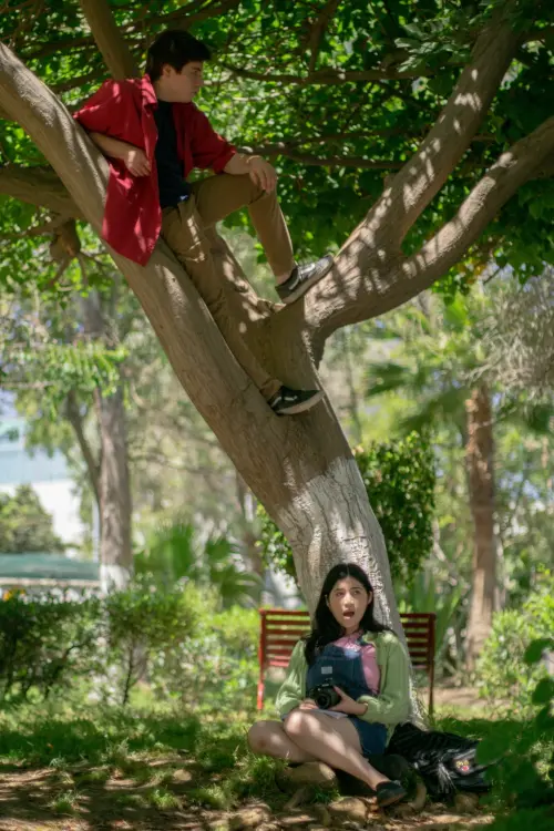 Постер до фільму "Summer of Tomorrow"