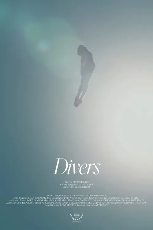 Постер до фільму "Divers"
