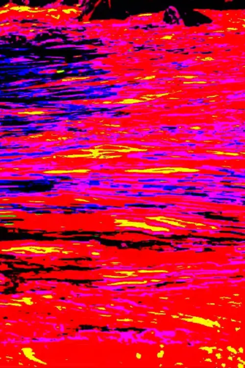 Постер до фільму "Denominador Comum"