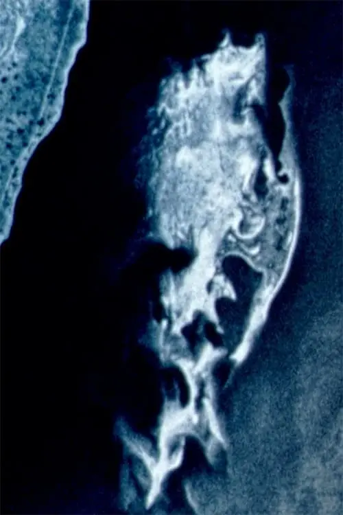 Постер до фільму "Man of Aral"